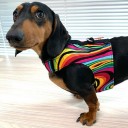 Easyfit Dog Harness - Size L 